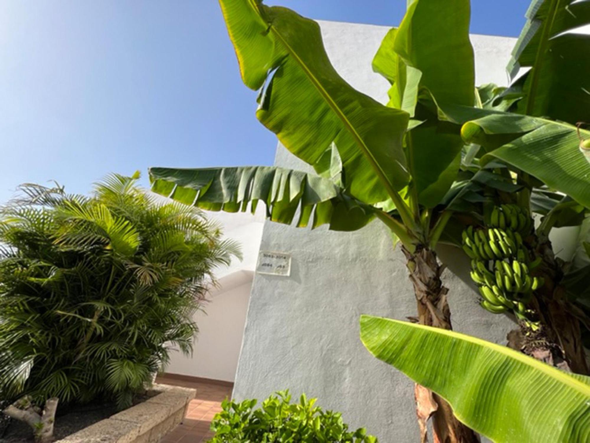 Apartament Malibu Blue Costa Adeje  Esterno foto